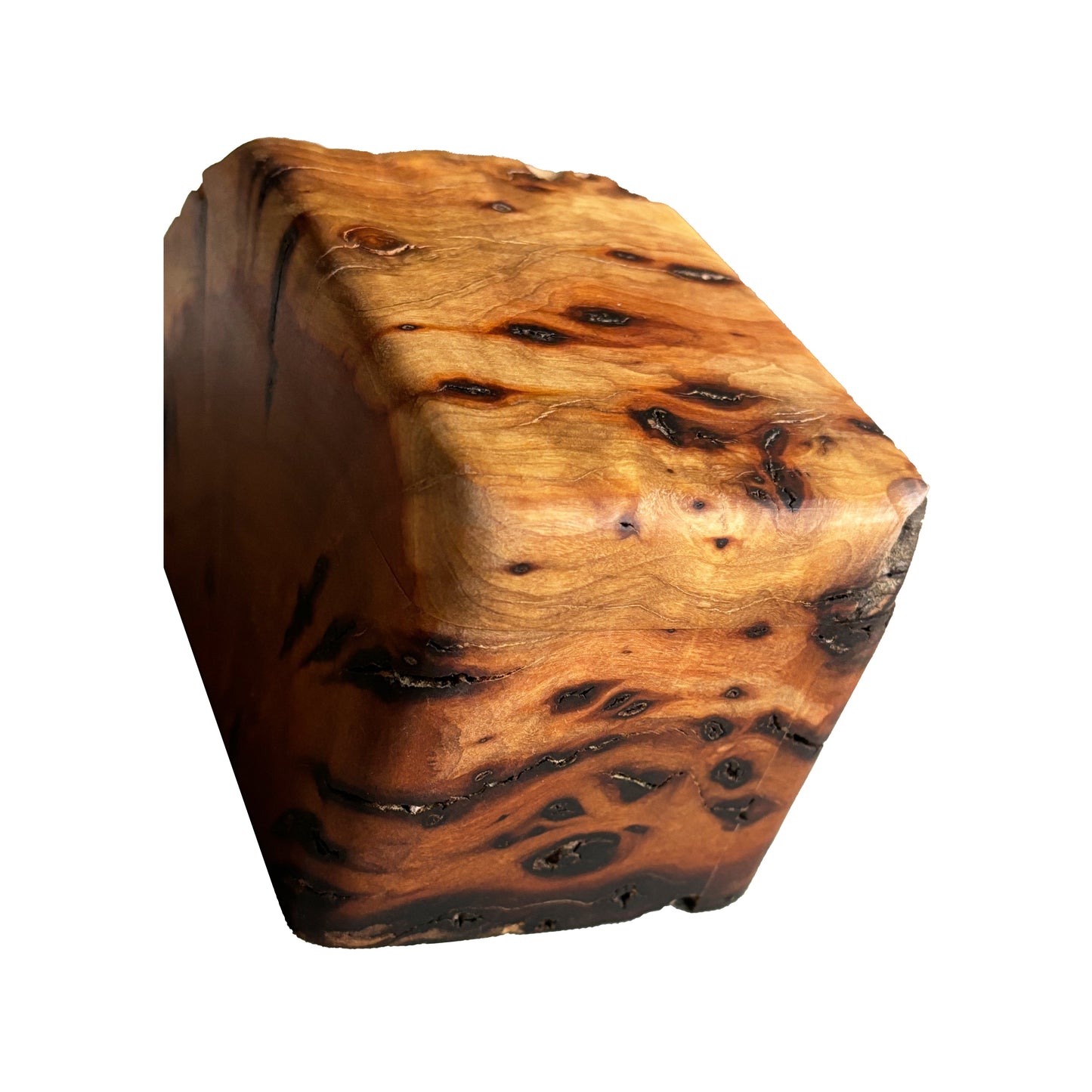Live edge decorative box with lid