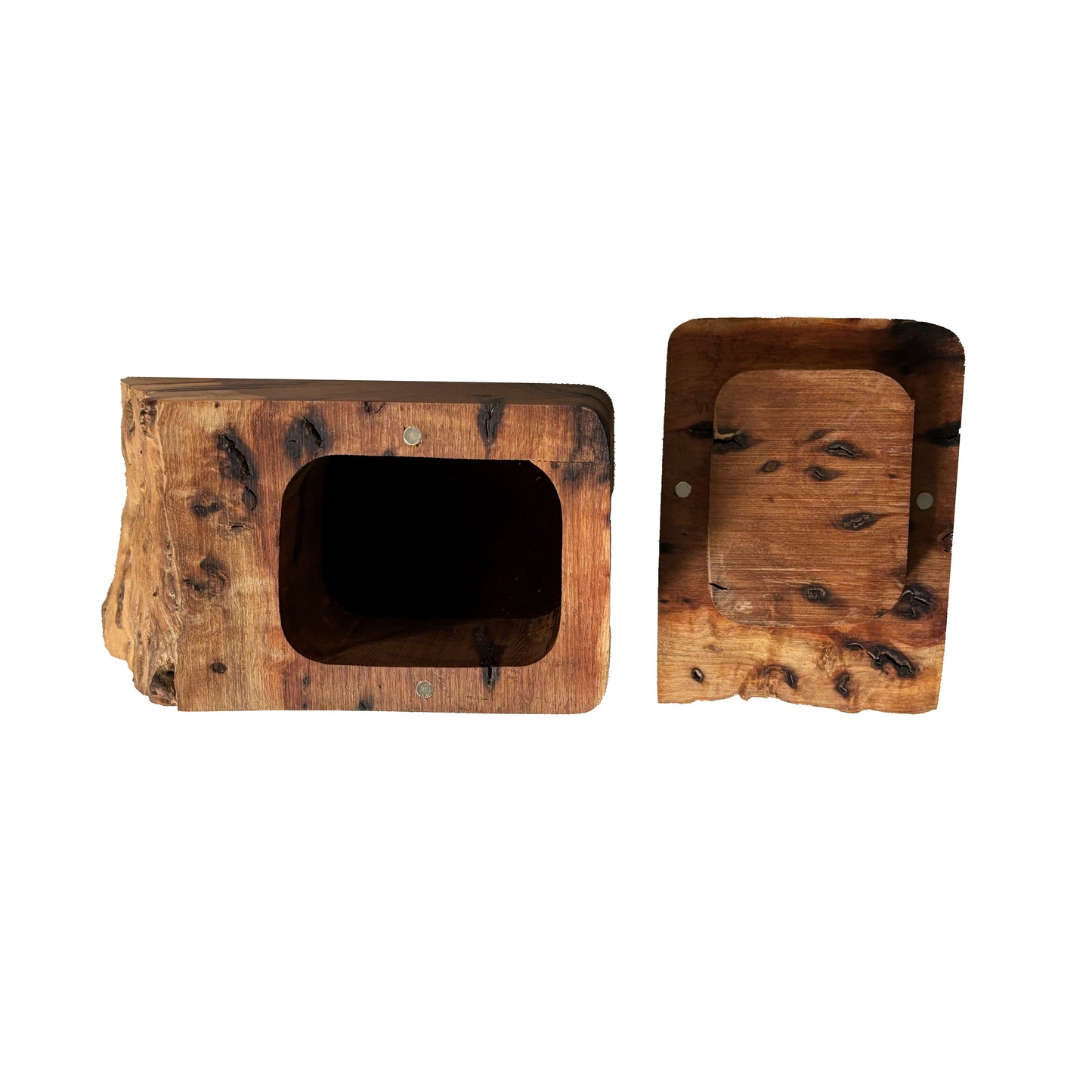 Live edge decorative box with lid