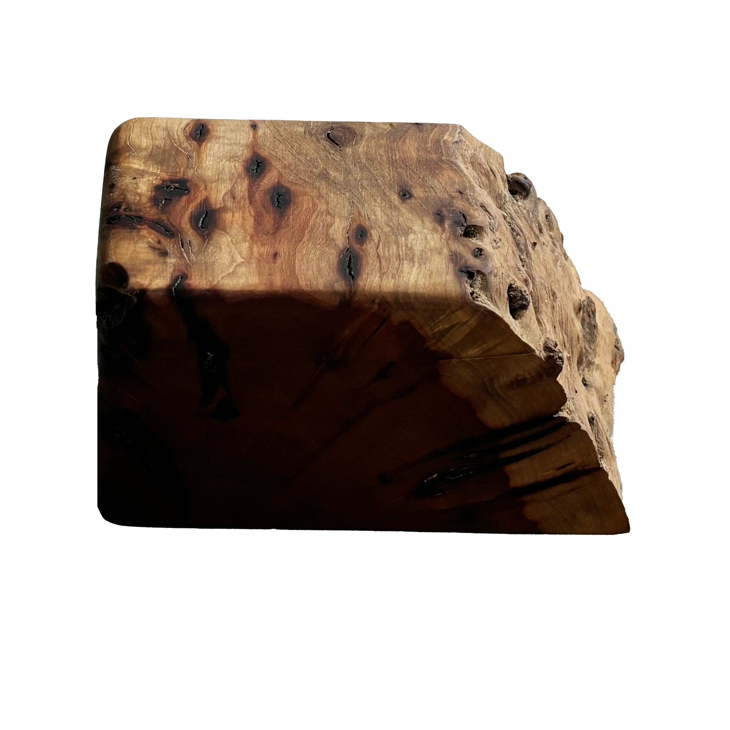 Live edge decorative box with lid