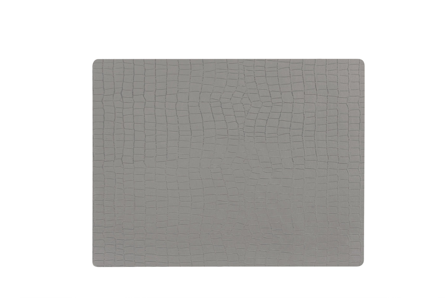 Anti-bacterial vinyl place mat
