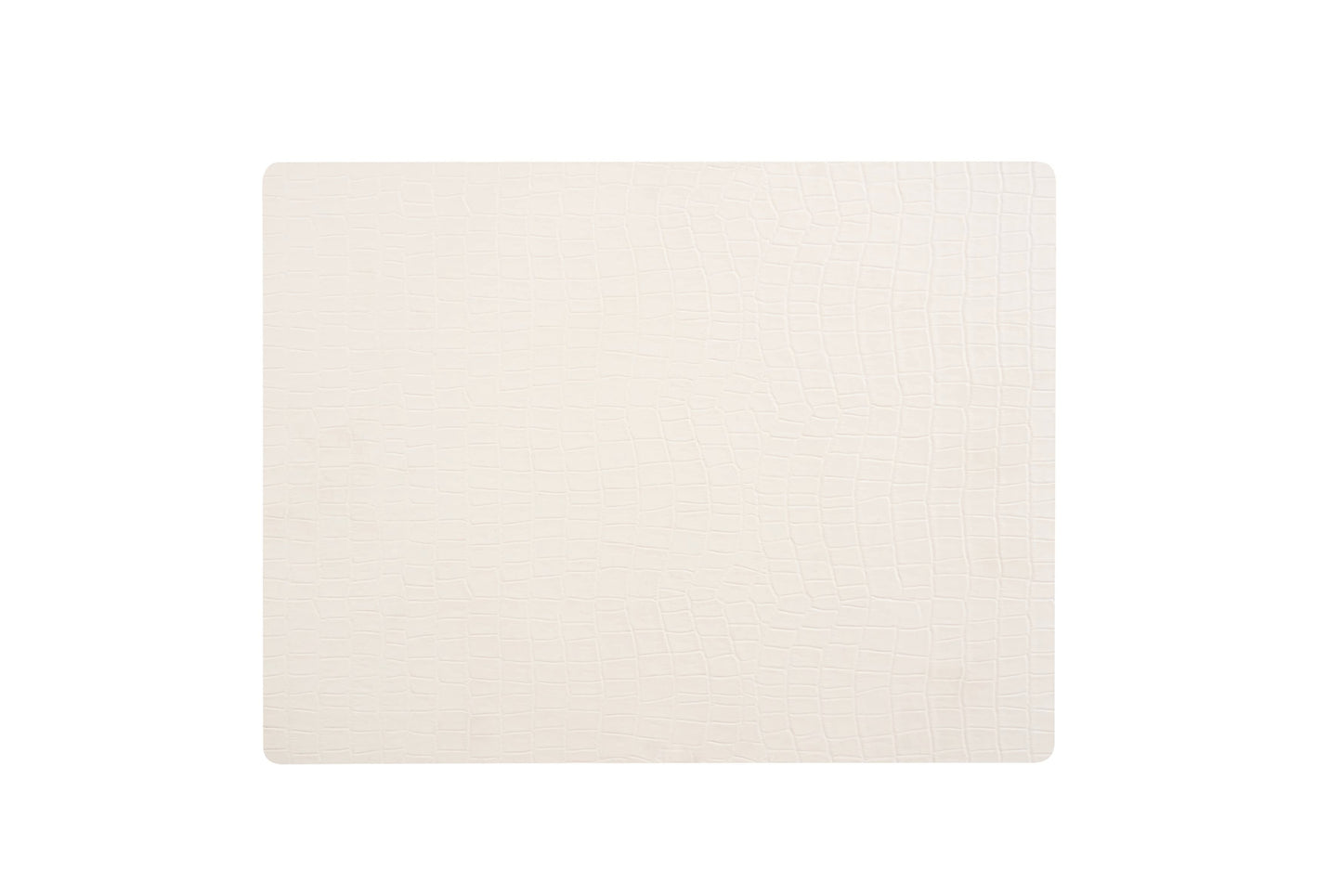 Anti-bacterial vinyl place mat