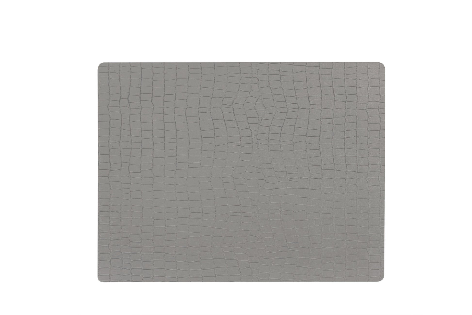 Anti-bacterial vinyl place mat