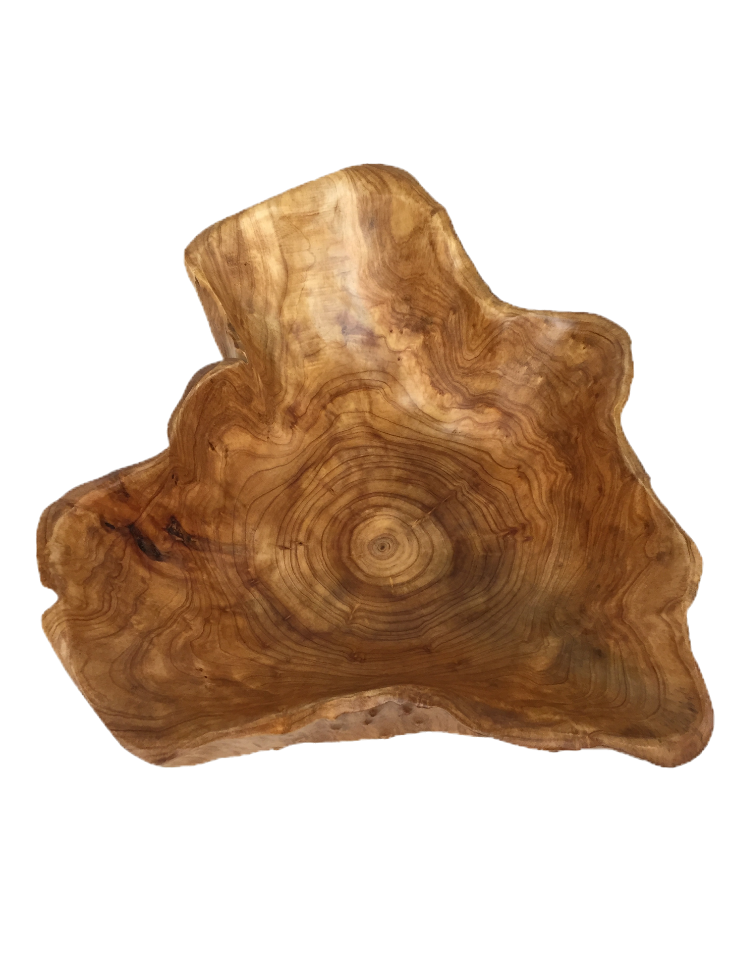 Hand-Crafted Root Wood Live Edge Bowl - Extra Large (20-21" / 3-5")