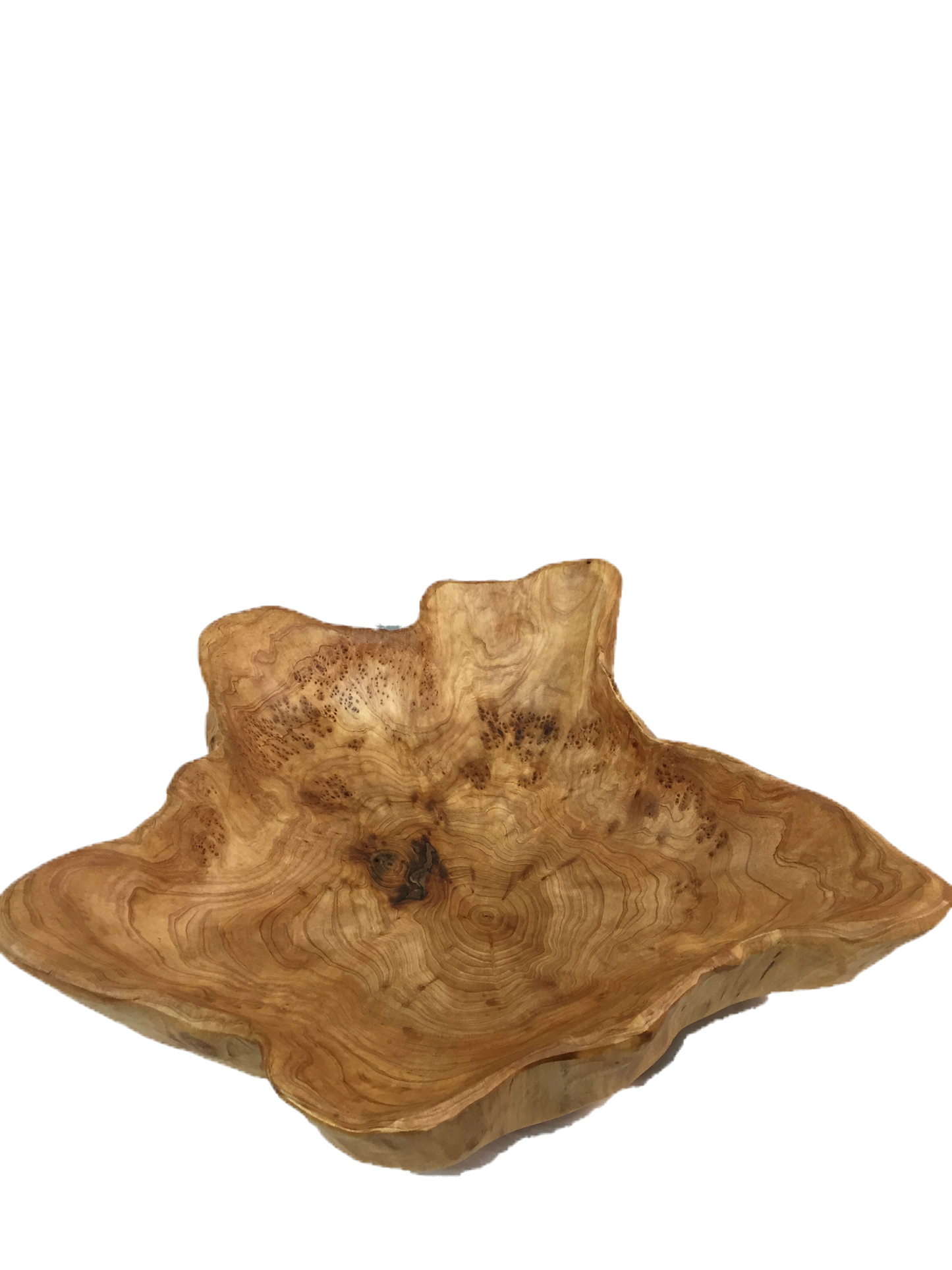 Hand-Crafted Root Wood Live Edge Bowl - Extra Large (20-21" / 3-5")