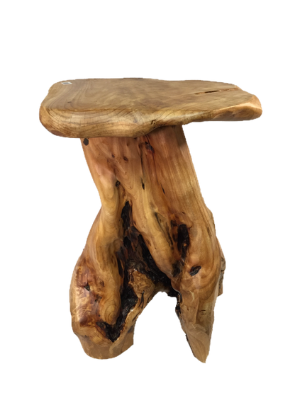 Hand-Crafted Root Wood Live Edge Stool/Plant Stand - 24"