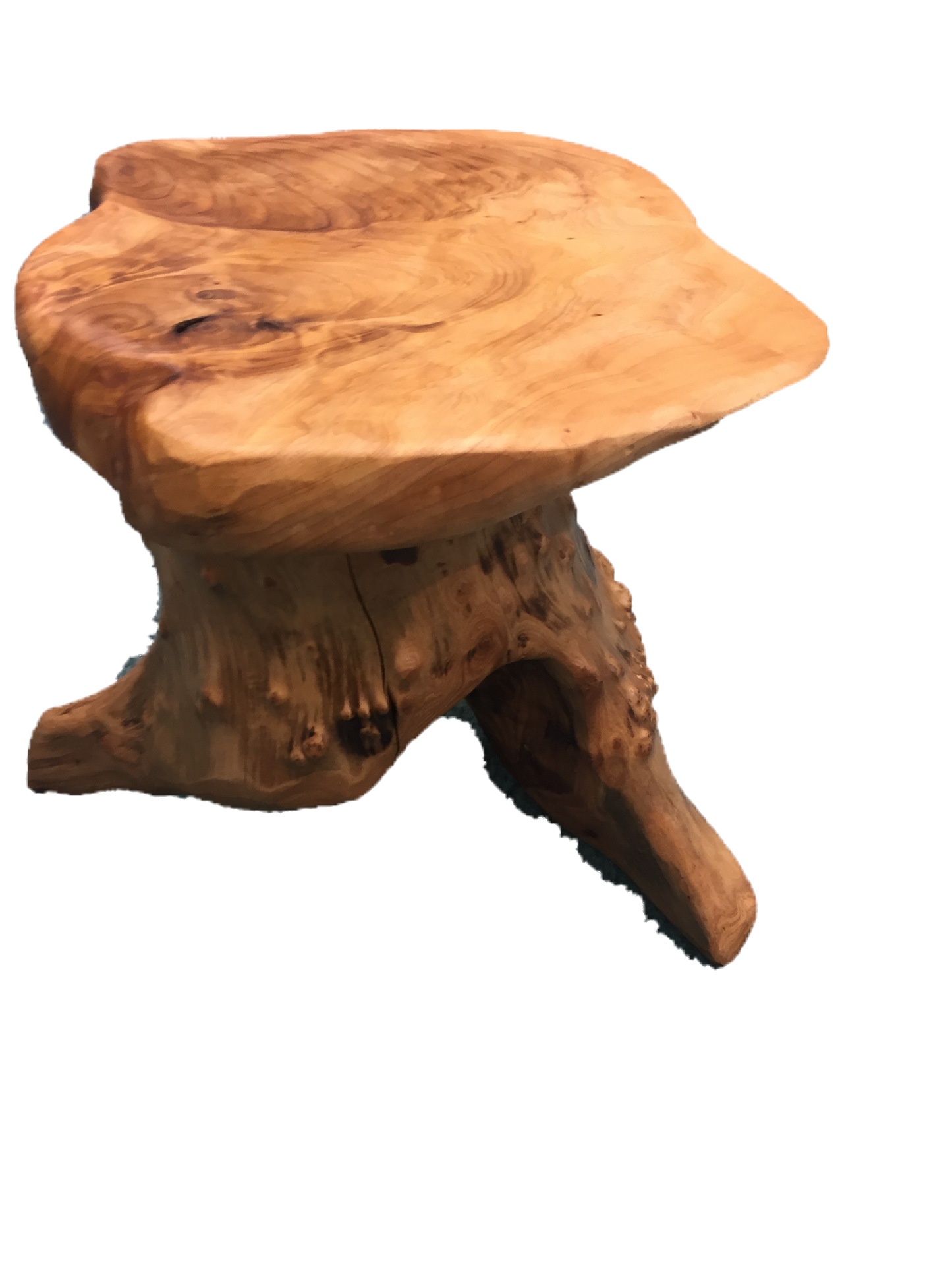 Hand-Crafted Root Wood Live Edge Plant Stand / Stool (16")