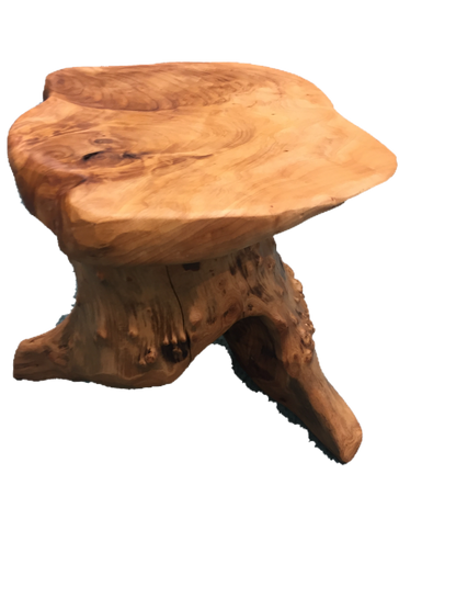 Hand-Crafted Root Wood Live Edge Plant Stand / Stool (16")